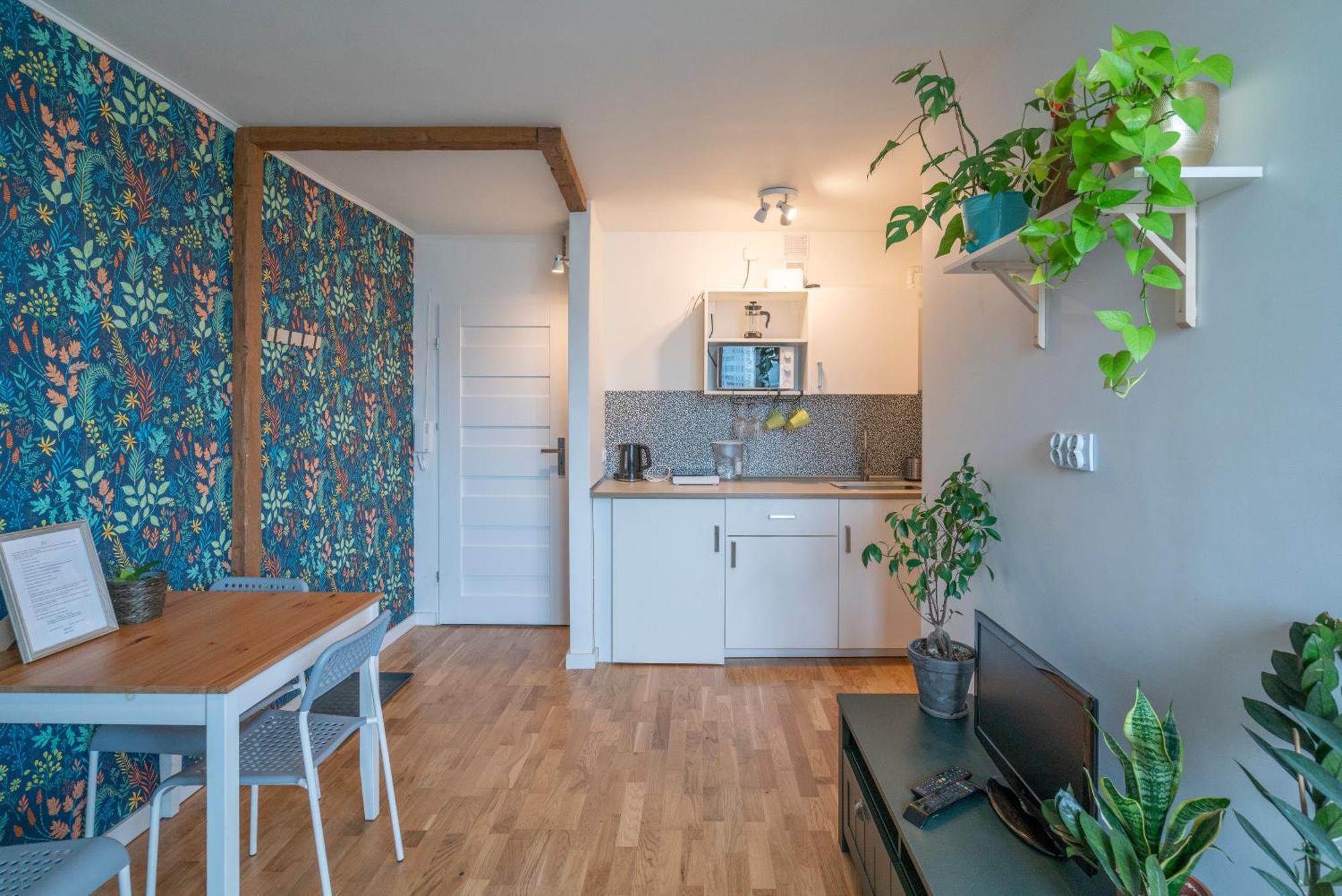Green Studio In The City Center Of Вроцлав Экстерьер фото